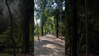 Paseo por el Jardín Botánico de Asunción [upl. by Verbenia]