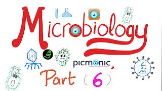 Microbiology  Moraxella catarrhalis Neisseria gonorrheae Neisseria meningitidis Picmonic Part 6 [upl. by Yecniuq]