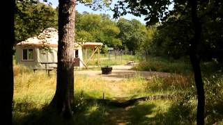 Glendalough state park battle lake mn yurt camps [upl. by Rollins]