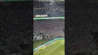 Festa da Torcida Palmeirense Hoje rival Não Dorme  Palmeiras x Corinthians [upl. by Sidoma]