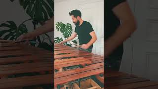 Ashitaka and San  Princess Mononoke marimba version gaming music marimba [upl. by Yerag]