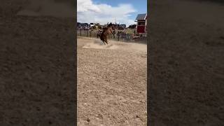 cowboy Christmas in Saratoga dubois and glendo Wyoming ranchbroncs dontfeedwyatt cowboyway [upl. by Aenej]