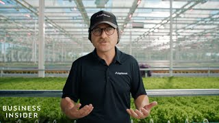 One Of The World’s Largest Indoor Farms Is Using Advanced Tech To Build A More Resilient Food System [upl. by Drarej]