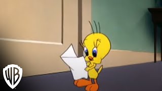 Looney Tunes Super Stars Tweety amp Sylvester Feline Fwenzy  Admirer  Warner Bros Entertainment [upl. by Cykana]