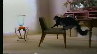 Woolite Carpet Cleaner 2000 Commercial [upl. by Vincenty141]