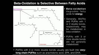 PUFAs BetaOxidation of Linoleic Acid 2 Double Bonds [upl. by Eira]