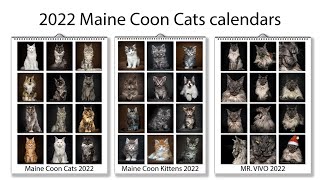 2022 Maine Coon Cats calendars by Felis Gallery [upl. by Cirre]