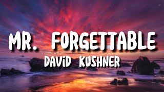 David Kushner  Mr Forgettable Lyrics video [upl. by Eiznekcm]