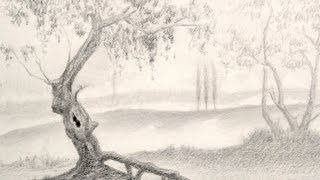 How to Draw a Tree  Landscape [upl. by Adriana]