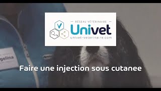 Comment faire une injection souscutanée à votre animal [upl. by Moshe550]