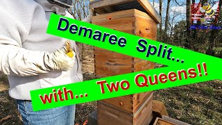 Demaree Split Method Achieving a Dual Queen Hive [upl. by Irod]