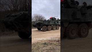 Stryker und M 113 Allied Spirit 2024 [upl. by Olva201]