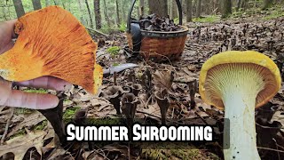 Summer Mushroom Foraging in Maine [upl. by Isla146]