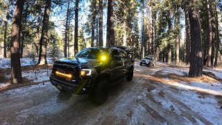 Exploring Big Bear trails [upl. by Drannel]