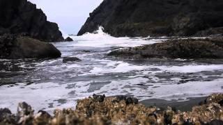 Ebb and Flow The Rhythm of Craniosacral [upl. by Lytsyrk960]