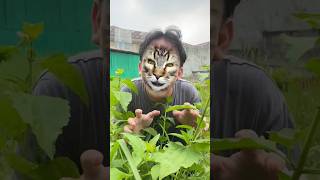 Kucing Minta Susu 🙀🧃🤣🤷‍♂️shotrs part 7 [upl. by Anirdna]