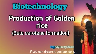 Golden rice and its application Biosynthetic pathways of beta carotene vitamin A precursor [upl. by Nihahs115]