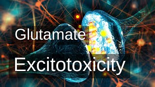 Glutamate Excitotoxicity and its Detrimental Effect on Mental Health [upl. by Claudell]