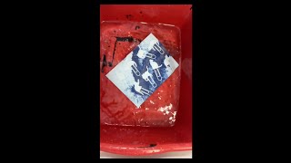 Spooky Season Cyanotypes photoidea diyprojects spookyseason halloween2024 roadto1ksubs [upl. by Neenaj403]