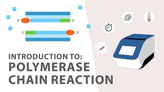 1 PCR Polymerase Chain Reaction Tutorial  An Introduction [upl. by Yneffit]