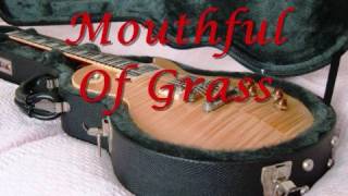 Mouthful Of Grass  Free Cover Version [upl. by Danita]