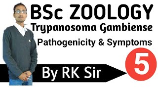 Zoology Trypanosoma Gambiense Pathogenicity and Symptoms of Trypanosoma GambienseBSc [upl. by Yajeet]