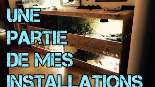 reptile room tour  une partie de mes installations [upl. by Asiel]