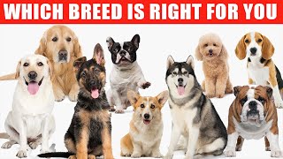 Review of the Top 10 Dog Breeds and Which Breed is Right for You [upl. by Kellia760]