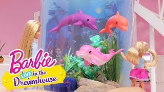 Accidentally on Porpoise  Barbie LIVE In the Dreamhouse  Barbie [upl. by Darlleen]