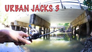 Cairns urban land based lure fishing [upl. by Lesya]