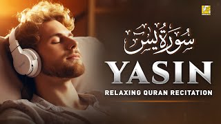 Peaceful Quran Recitation of Surah Yasin Yaseen سورة يس  SOFT VOICE  Zikrullah TV [upl. by Anielram]