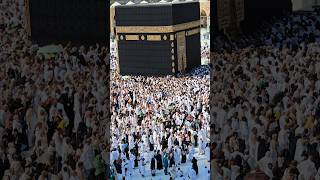 Kaaba Live🔴 Today  19 November 2024  kaabalive ytshorts  tawafekaaba shorts makkahofficial [upl. by Amalbena636]