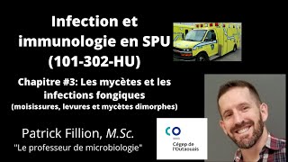 Chapitre 3 Mycètes et infections fongiques 101302HU Infection et immunologie en SPU [upl. by Eldora]