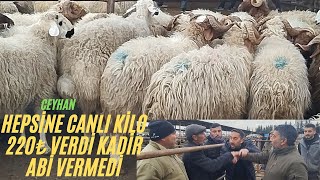 15 MART 2024 CEYHAN KÜÇÜKBAŞ HAYVAN PAZARIkeşfet kurbanlıkfiyatları hayvanpazari kuzulukoyun [upl. by Nosyd]