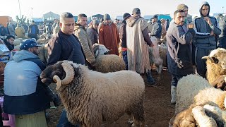 الأربعاء مكناس 152024 مع أثمنة حولي عيد الأضحى والخروفة والنعجة وخروف البكري ماعز فرجة ممتعة [upl. by Tahp776]