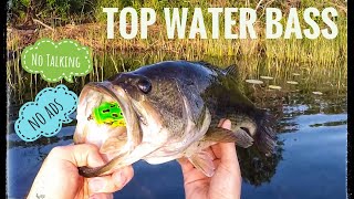 Largemouth Topwater Blowups [upl. by Seavey]