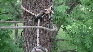 my Figure Eight rappel method for saddle hunting [upl. by Aihsenek841]