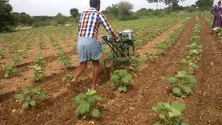 power weeder sooo fast to cultivate in cotton with 130 hours 1 acre field [upl. by Attenehs70]