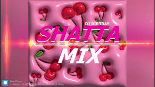 🎆SHATTA MIX🎆 Best Shatta Mix 2024•DJ ICE TRAY [upl. by Resiak181]