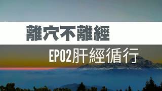 離穴不離經｜EP02肝經循行 [upl. by Gilberte]