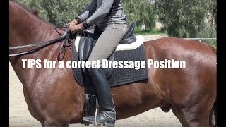 Tips for a Correct Dressage Position [upl. by Cerelly]