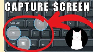 How To Take a Screenshot on Windows 11 EASY [upl. by Renba987]