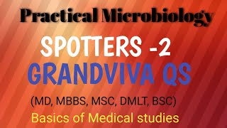 Microbiology Mbbs PracticalMicrobiology Mbbs spotters 2 Microbiology Grandviva qs [upl. by Tommi]