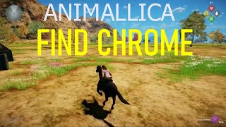 ANIMALLICA FIND CHROME [upl. by Prosperus]