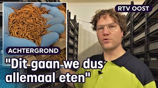 Dankzij Wouter eet iedereen straks meelwormen uit Overijssel  RTV Oost [upl. by Ardnait]