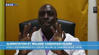 LE COEUR ET LES MALADIES CARDIOVASCULAIRES [upl. by Kenison]