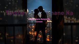 Tumhe Apna Banane Ka Junoon Song [upl. by Annirok998]