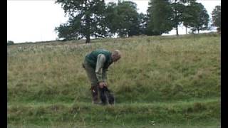 Shooting Times gundog training [upl. by Enutrof]