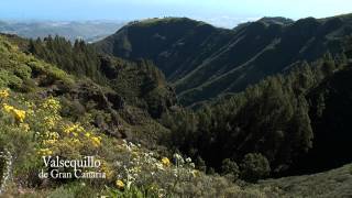 VALSEQUILLO DE GRAN CANARIA [upl. by Aniled]