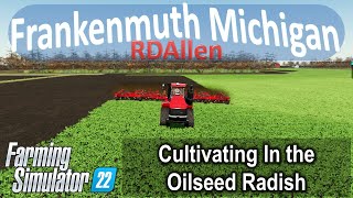 Cultivating In the Oilseed Radish  E34 Frankenmuth Michigan  Farming Simulator 22 [upl. by Yraccaz]